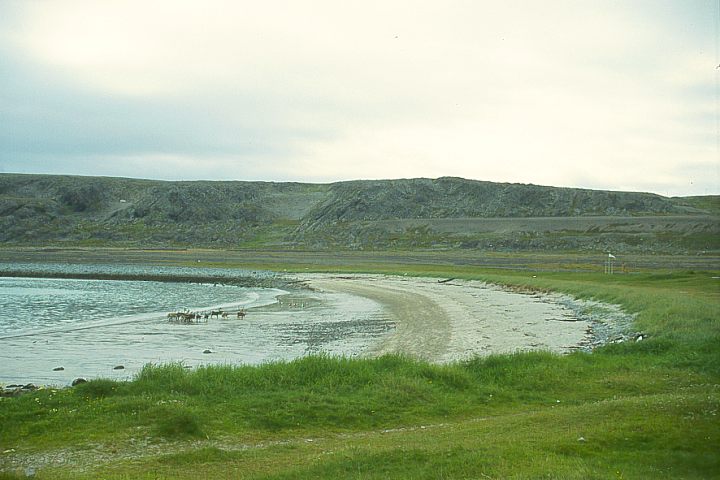 FinnmarkBatsfjordHam15 - 62KB