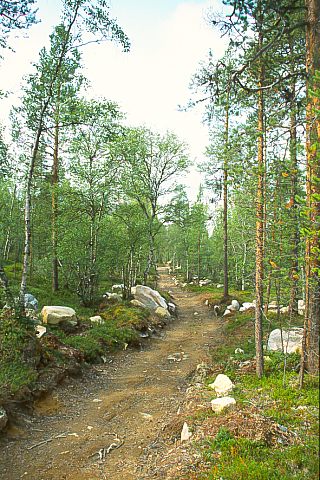 FinnmarkSoerVarangerPasvik10 - 69KB