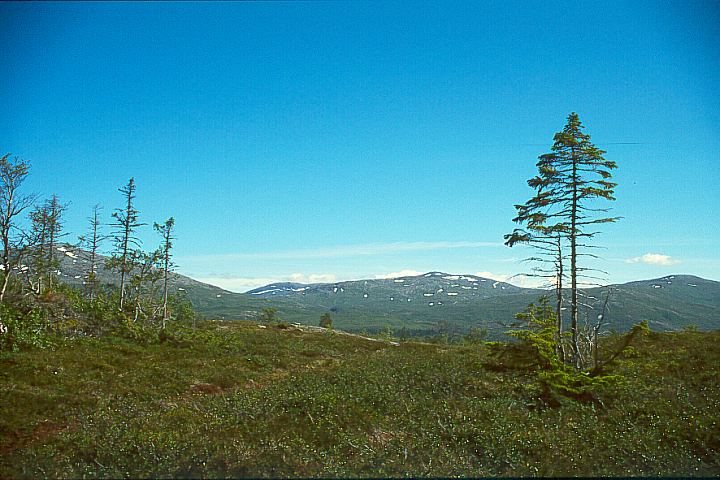 NordTroendelagNamsskoganBoergefjell10 - 79KB