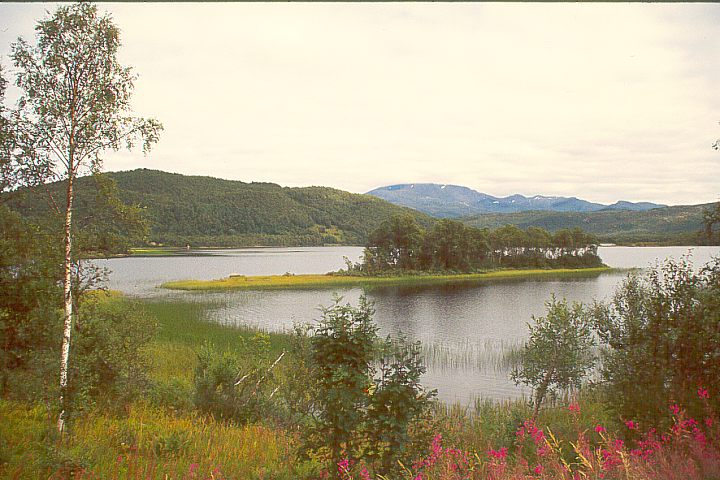 NordlandBallangen10 - 88KB