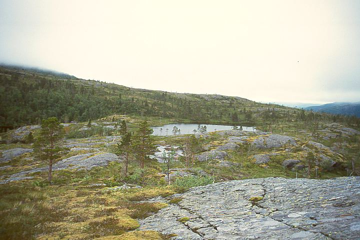 NordlandBindalFuglstadvatnet10 - 78KB