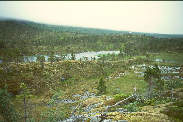 NordlandBindalFuglstadvatnet13 - 87KB