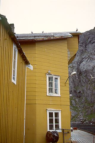 NordlandFlakstadNusfjord04 - 33KB