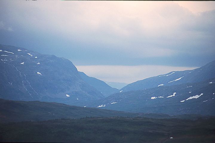 NordlandGrane18 - 36KB