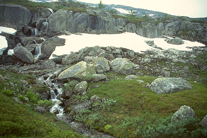 NordlandGraneBoergefjell16 - 97KB