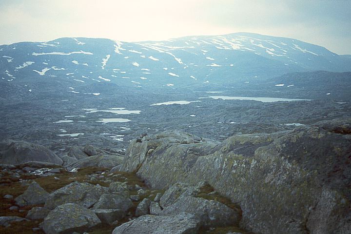 NordlandGraneBoergefjell21 - 68KB