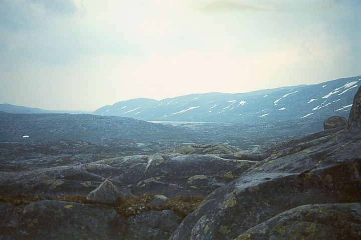 NordlandGraneBoergefjell22 - 50KB