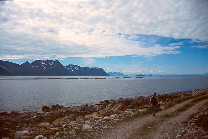 TromsTorskenLeikvika01 - 58KB