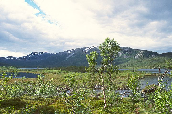 TromsTranoeyAnderdalen13 - 90KB