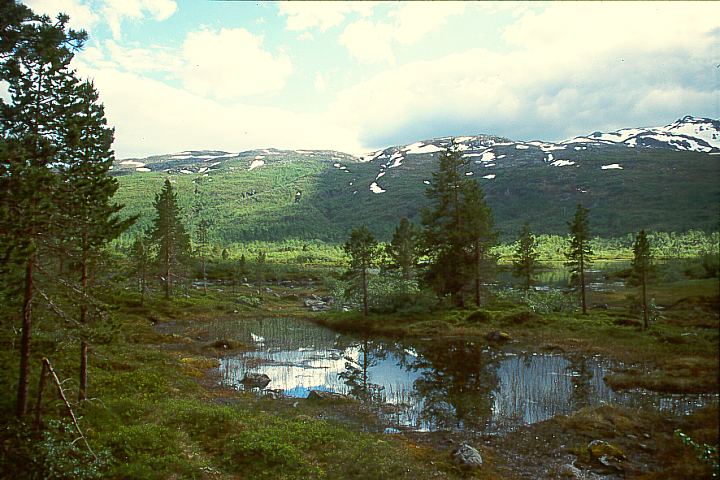 TromsTranoeyAnderdalen16 - 86KB
